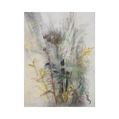 Sally wyatt